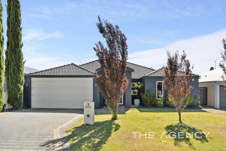 Main view of Homely house listing, 3 Condil Way, Success WA 6164