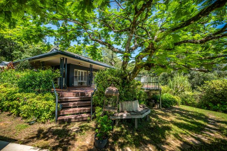 Main view of Homely lifestyle listing, 917 Waterfall Way, Bellingen NSW 2454