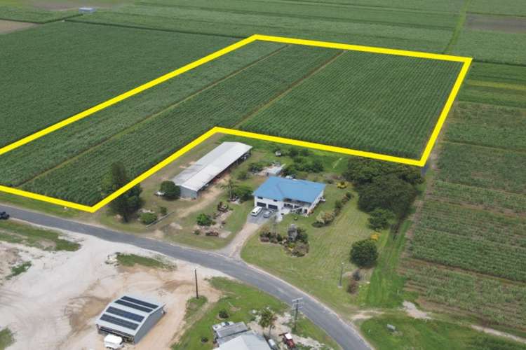 Main view of Homely cropping listing, LOT 1 Hamleigh Road, Ingham QLD 4850