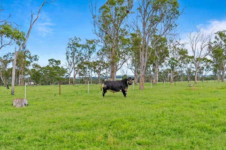 261 Althaus Road, Westbrook QLD 4350