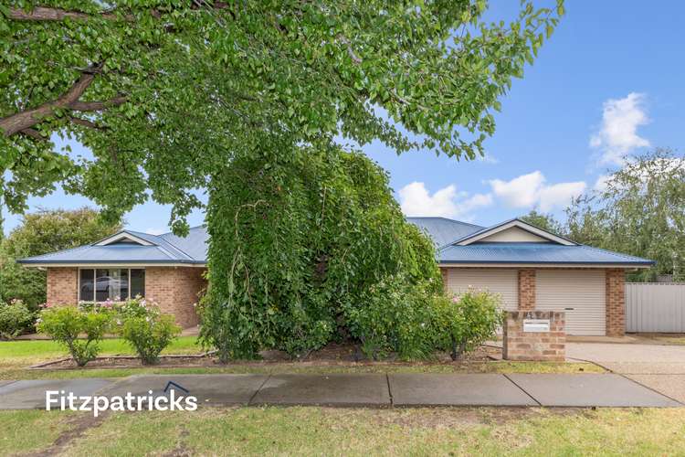 Main view of Homely house listing, 49 Tamar Drive, Tatton NSW 2650