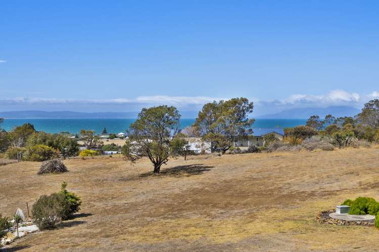 Main view of Homely house listing, 17 Burgess Street, Swansea TAS 7190