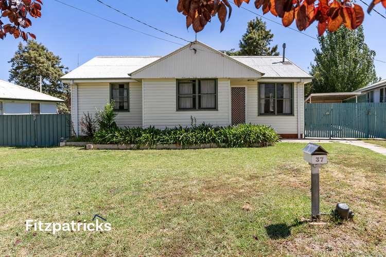 Main view of Homely house listing, 37 Jack Avenue, Mount Austin NSW 2650