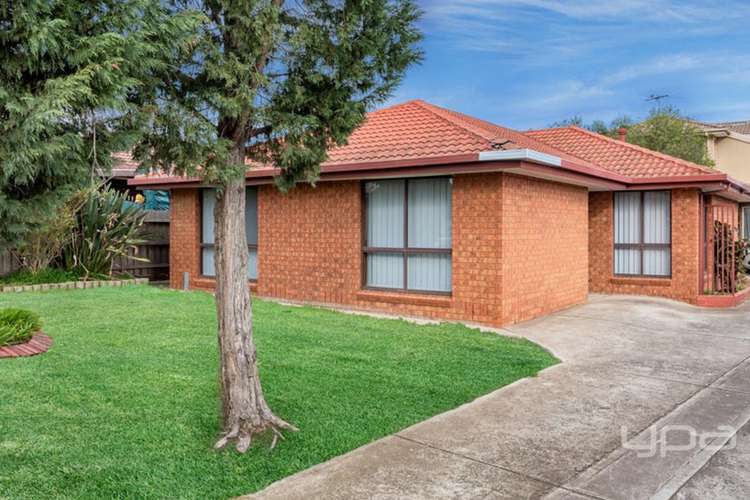 1/15 Castella Court, Meadow Heights VIC 3048