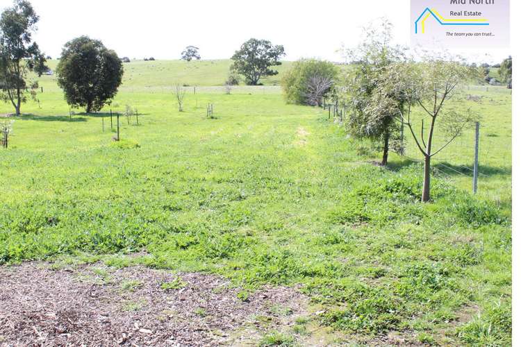 Main view of Homely residentialLand listing, LOT 5 Wakefield Street, Mintaro SA 5415