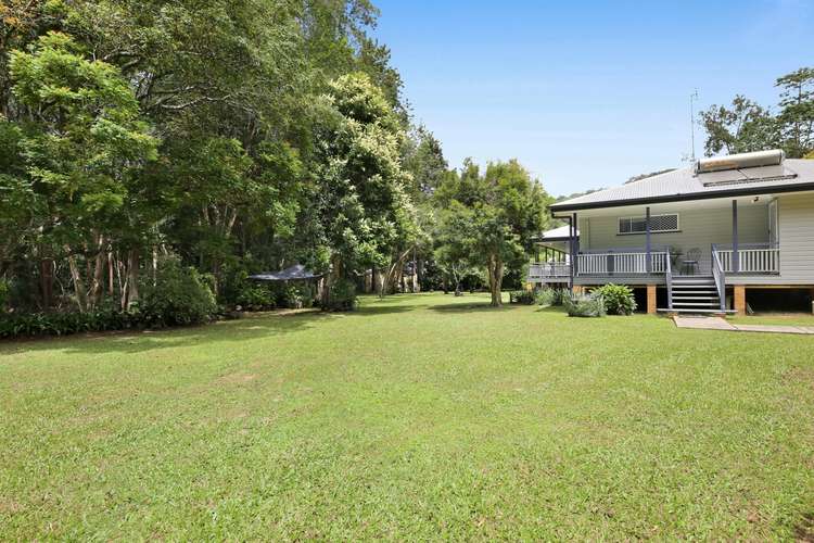 Main view of Homely house listing, 15 Camphorlaurel Court, Tallebudgera Valley QLD 4228