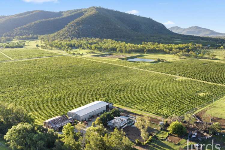Main view of Homely viticulture listing, 803 Milbrodale Road, Broke NSW 2330