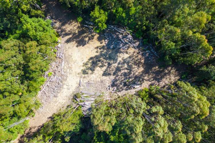 Lot 16 Lower Bobo Road, Ulong NSW 2450