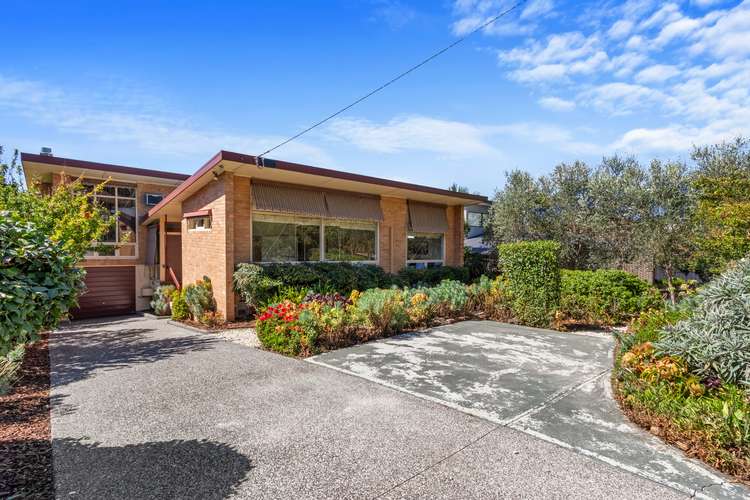 Main view of Homely house listing, 45 Hill Road, Balwyn North VIC 3104