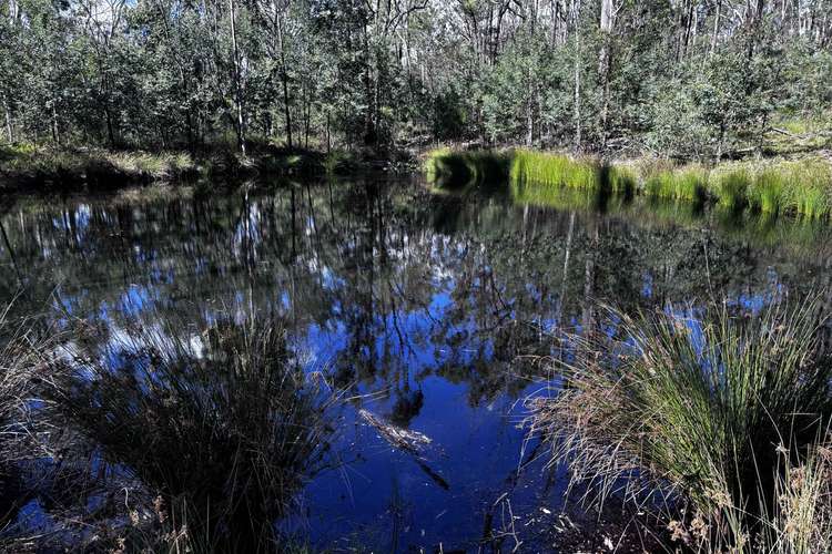 Main view of Homely residentialLand listing, LOT 137 Old Thanes Creek Road, Thanes Creek QLD 4370