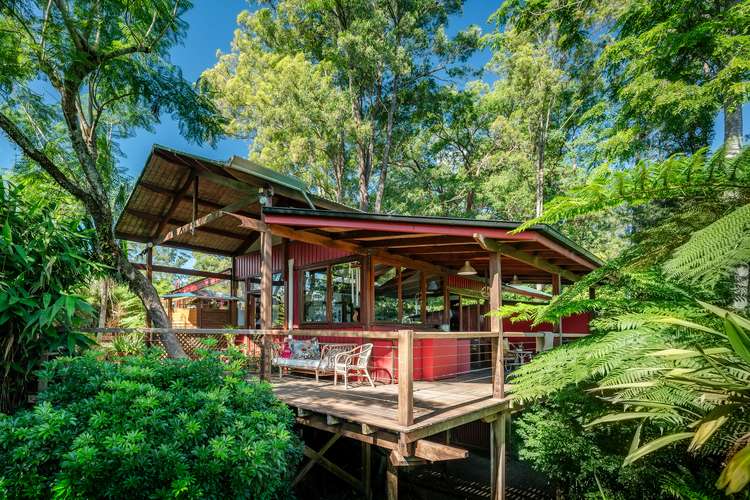Main view of Homely house listing, 15 Hill Street, Bellingen NSW 2454