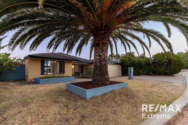 Fourth view of Homely house listing, 46 Mangrove Circuit, Banksia Grove WA 6031
