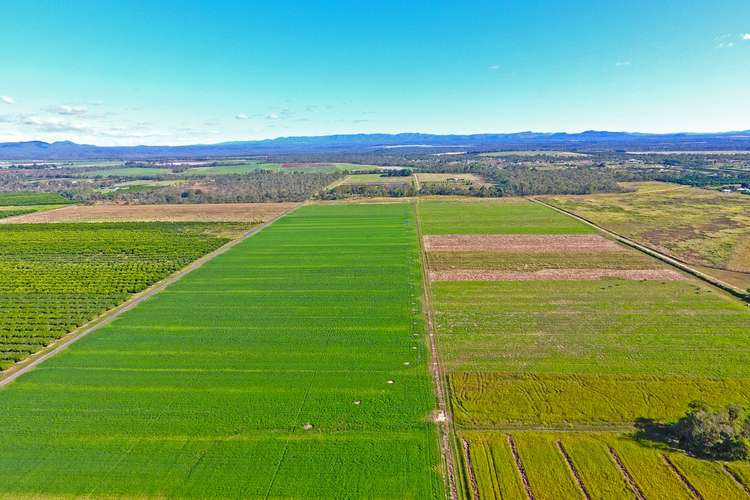 Main view of Homely cropping listing, LOT 3 Malone Road, Mareeba QLD 4880