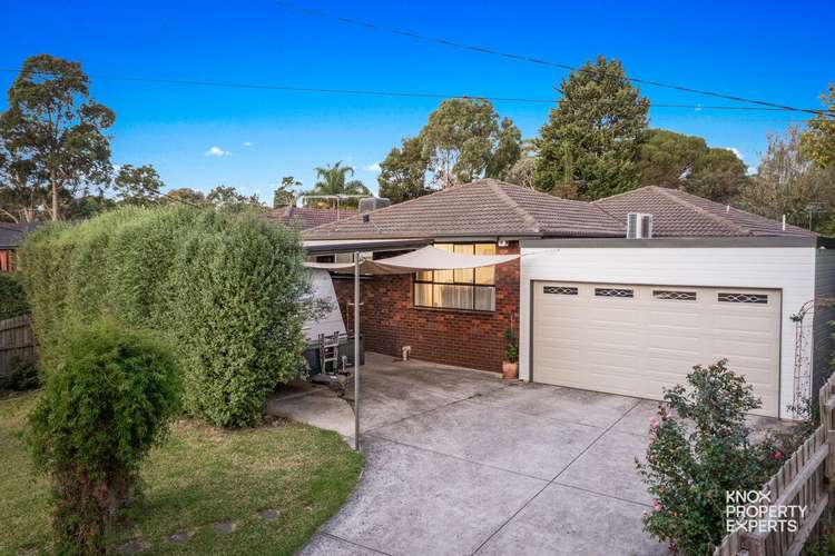 Main view of Homely house listing, 13 Thanos Court, Boronia VIC 3155