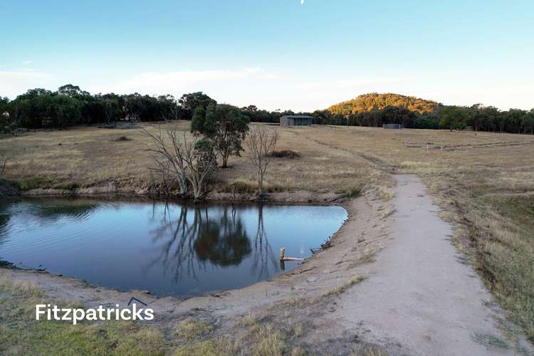 Fourth view of Homely residentialLand listing, 6607 Holbrook Road, Gelston Park NSW 2650