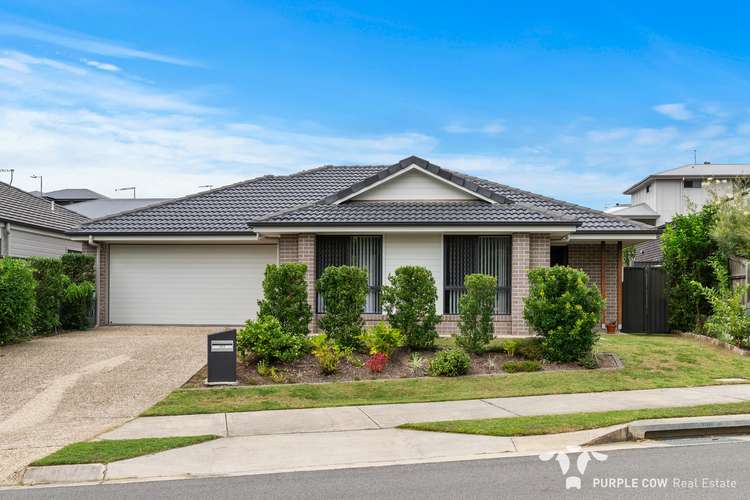 177 Woodline Drive, Spring Mountain QLD 4300