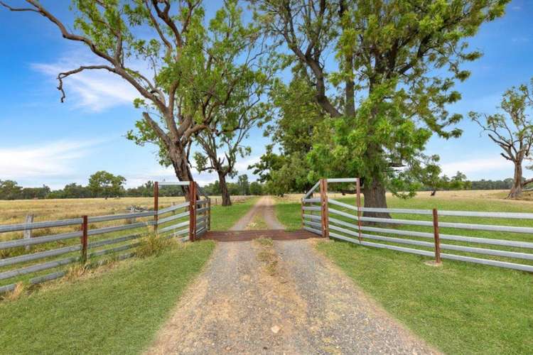 Main view of Homely acreageSemiRural listing, 1688 Harparary Road, Narrabri NSW 2390