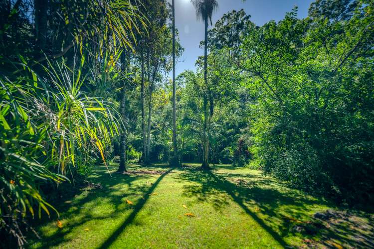 Fourth view of Homely house listing, 290 Roses Road, Bellingen NSW 2454