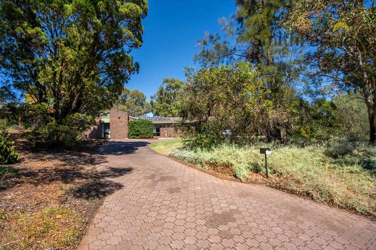 Third view of Homely house listing, 161 Target Hill Road, Greenwith SA 5125