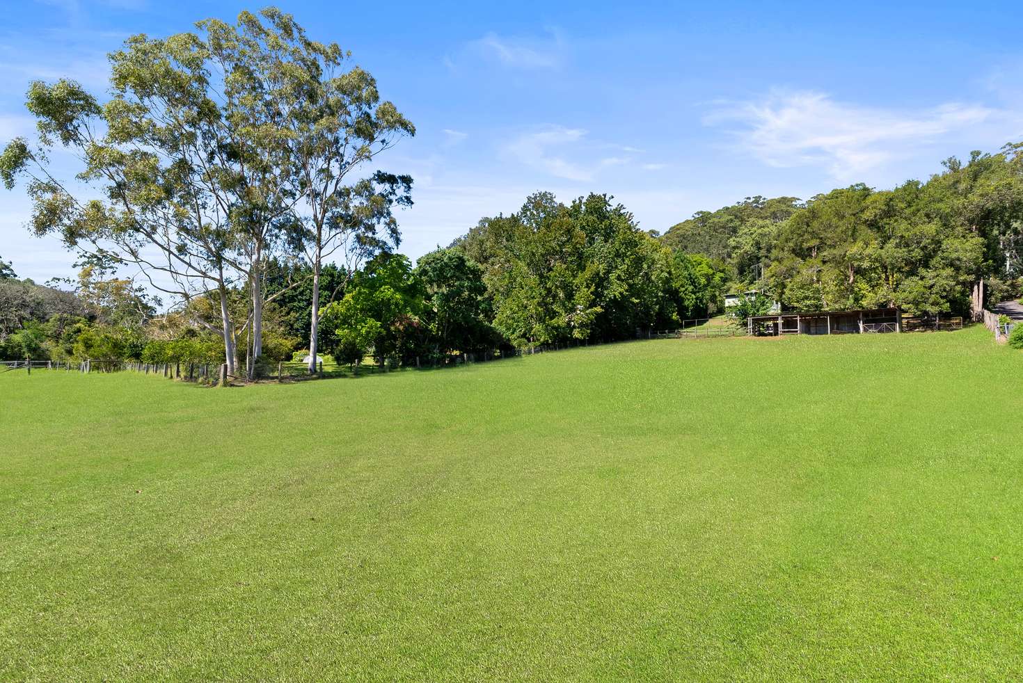 Main view of Homely acreageSemiRural listing, 163 Matcham Road, Matcham NSW 2250