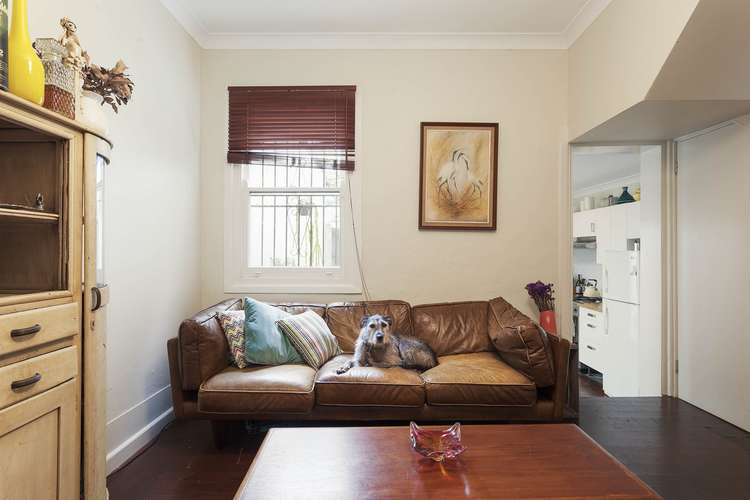 Main view of Homely terrace listing, 29 Waterloo Street, Surry Hills NSW 2010