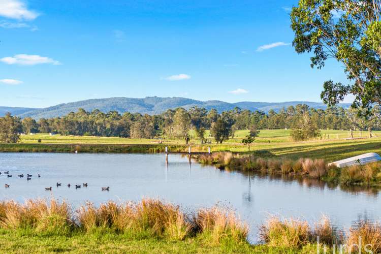 Sixth view of Homely lifestyle listing, 392 Tocal Road, Mindaribba NSW 2320
