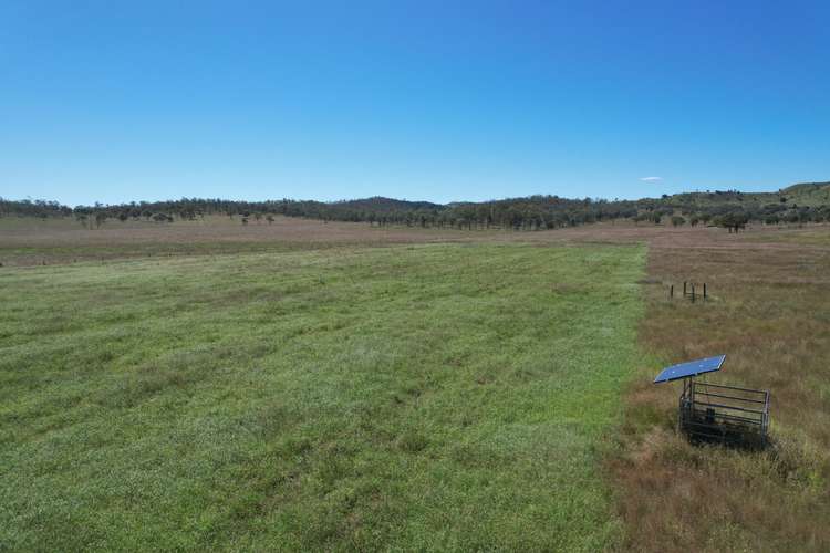 Fifth view of Homely livestock listing, 183 Bukali Scrub Road, Monto QLD 4630