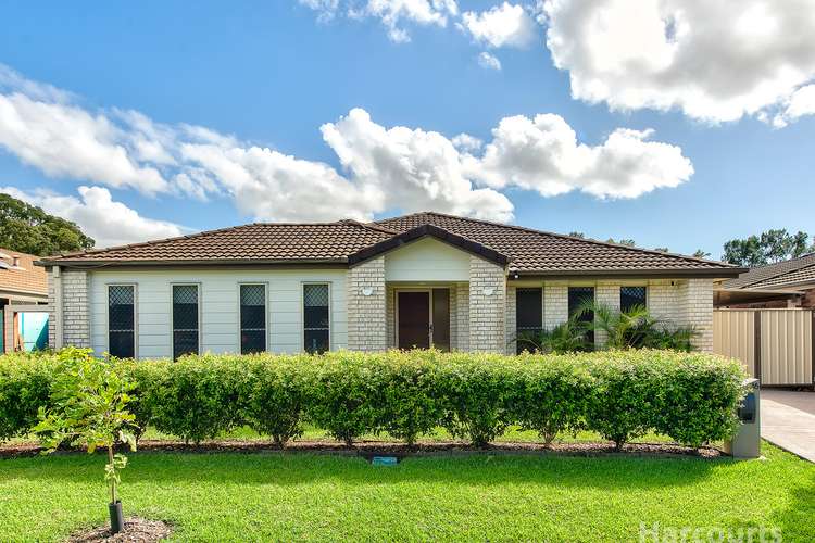 Main view of Homely house listing, 16 Springbok Street, Fitzgibbon QLD 4018