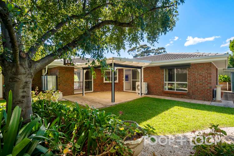 4A Clearview Street, Beaumont SA 5066