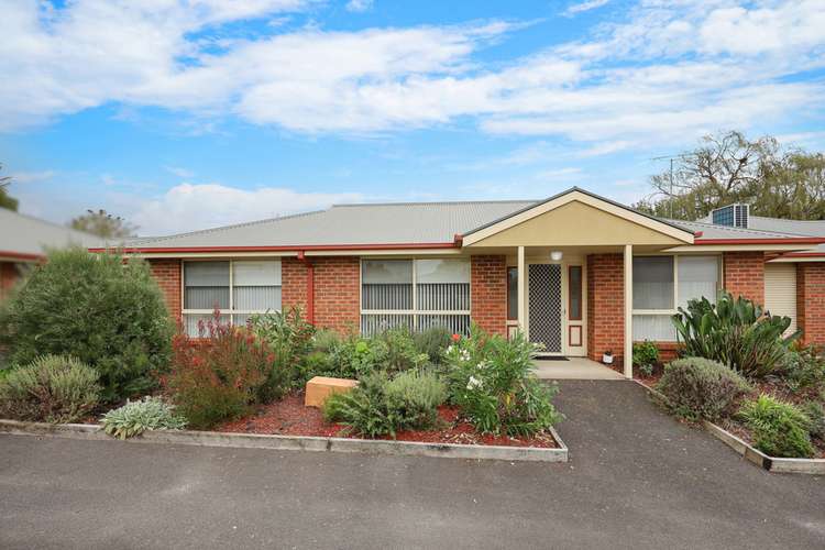 2/41 Swanston Street, Terang VIC 3264