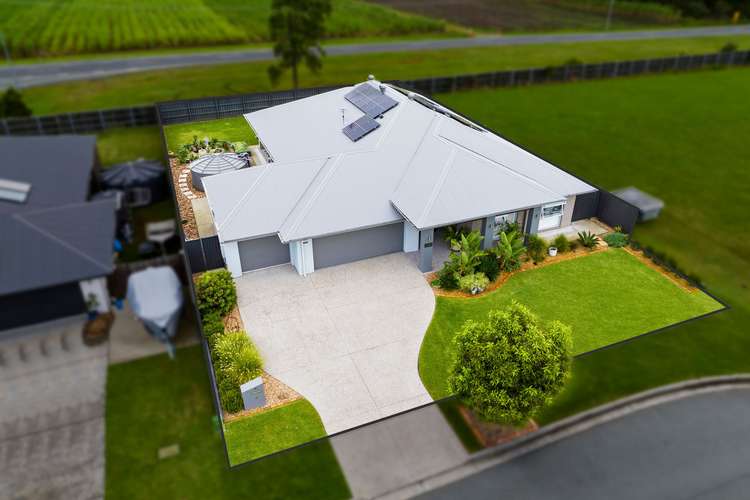4 Corbould Court, Jacobs Well QLD 4208