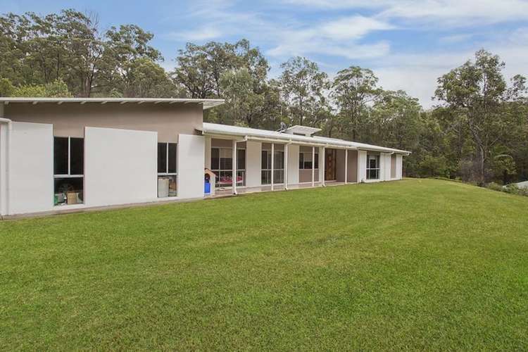 41 Pademelon Pass, Nerang QLD 4211