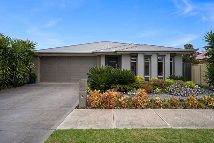 17 Falcon Avenue, Hampstead Gardens SA 5086