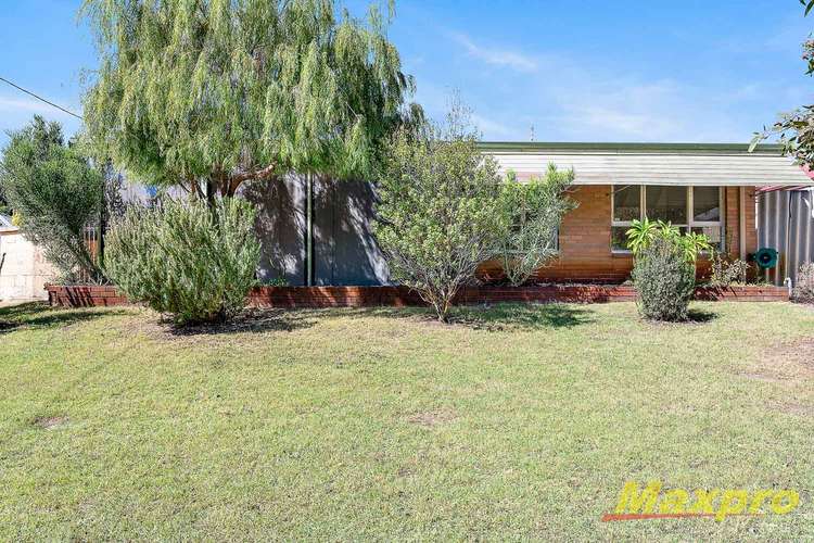 Main view of Homely house listing, 10A Clovelly Crescent, Lynwood WA 6147