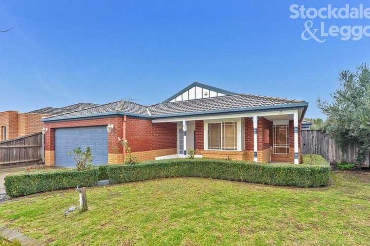Main view of Homely house listing, 31 Scarlet Drive, Bundoora VIC 3083