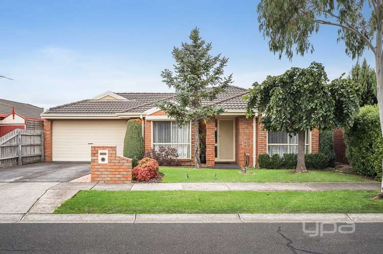 Main view of Homely house listing, 19 Lynx Avenue, Roxburgh Park VIC 3064