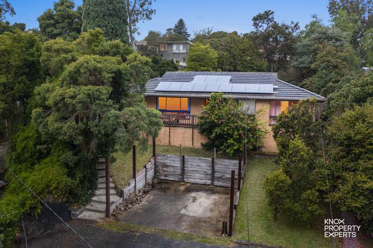 Main view of Homely house listing, 43 Margot Street, Ferntree Gully VIC 3156