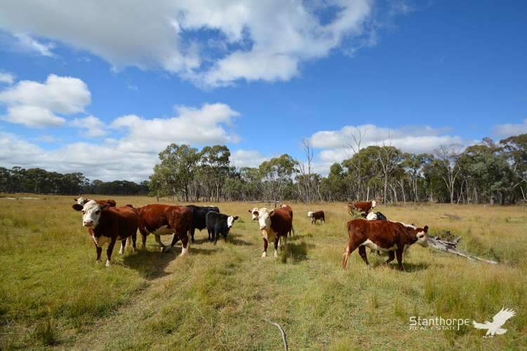 67 Dunn Road, Pozieres QLD 4352