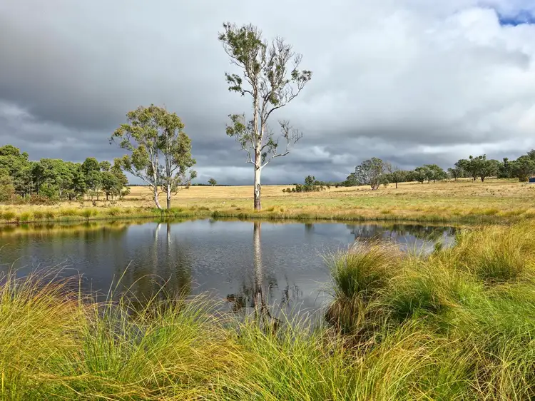 Third view of Homely rural property listing, 129 Silver Lane, Boro NSW 2622
