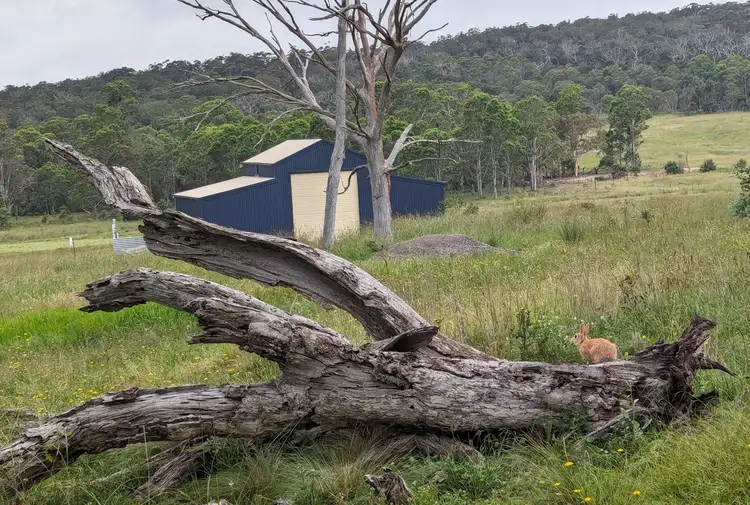 Fourth view of Homely rural property listing, 129 Silver Lane, Boro NSW 2622