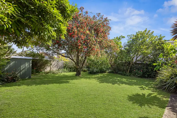 Second view of Homely house listing, 19 Jocelyn Street, North Curl Curl NSW 2099