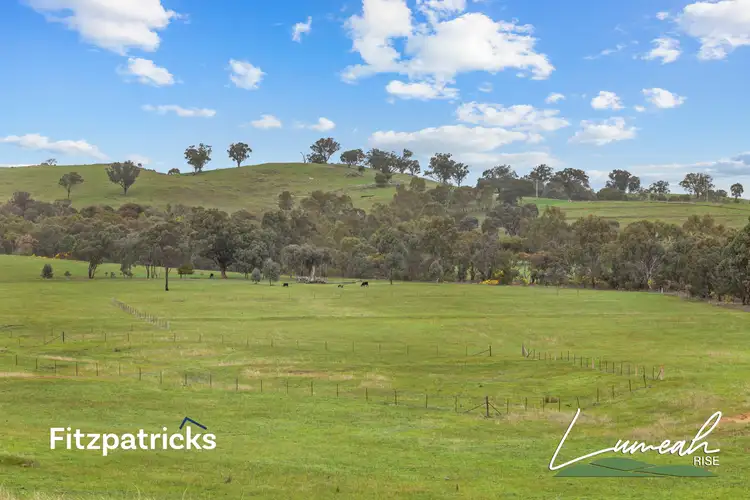 Second view of Homely land listing, 'Lumeah Rise' 161 Dunns Road, Springvale NSW 2650