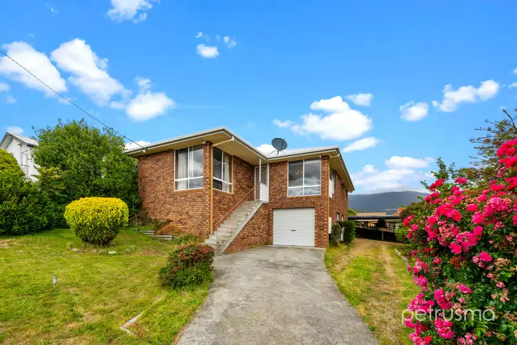 16 Bosco Drive