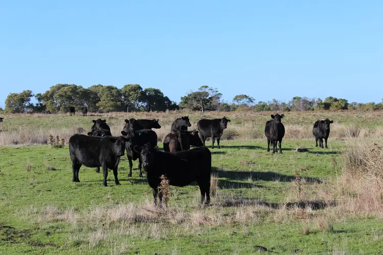 Second view of Homely rural property listing, 0000 Lake Gorrie Road, Bessiebelle VIC 3304