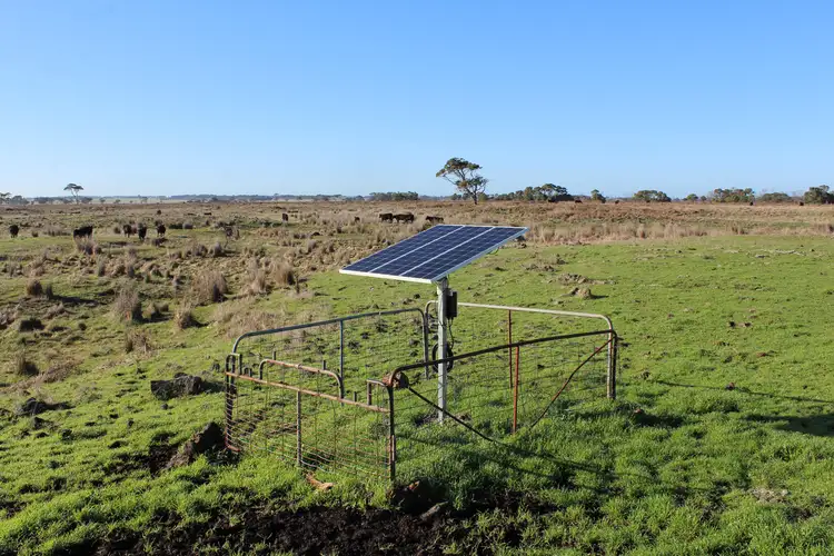 Seventh view of Homely rural property listing, 0000 Lake Gorrie Road, Bessiebelle VIC 3304