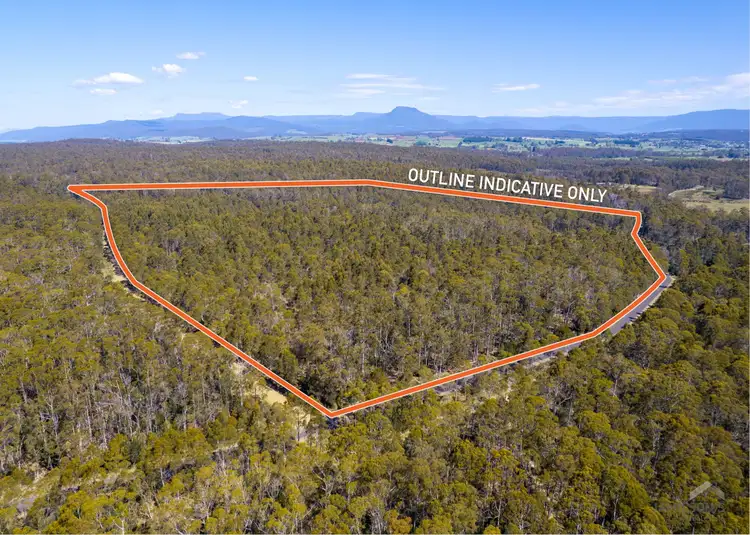 Fourth view of Homely house listing, 520 River Road, Reedy Marsh TAS 7304