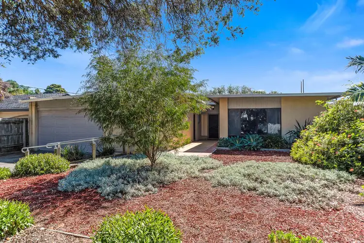 Main view of Homely house listing, 45 Rhoda Street, Dingley Village VIC 3172