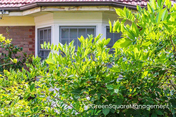Fifth view of Homely apartment listing, 3/26 Undercliff Street, Neutral Bay NSW 2089