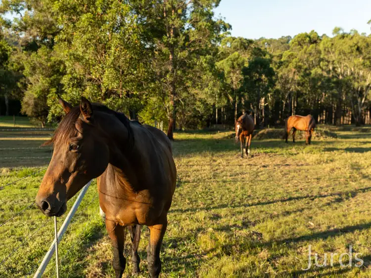 Fourth view of Homely rural property listing, 112 Wollong Road, Quorrobolong NSW 2325