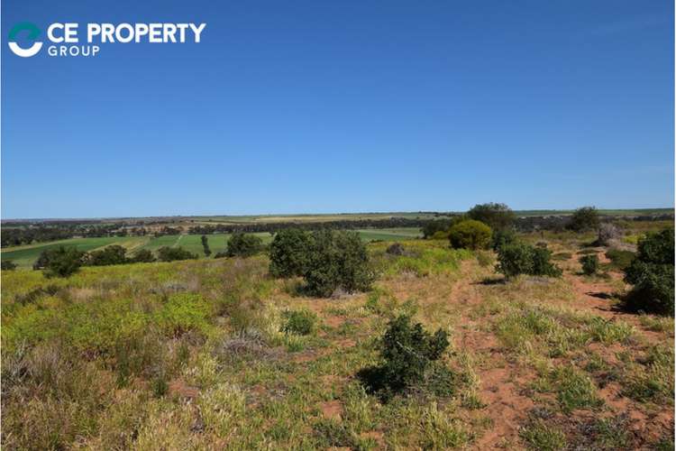 Main view of Homely lifestyle listing, 341 and 346, LOT 341 and 346 Rundle Road, Ponde SA 5238